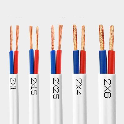 RVV2-core sheathed wire